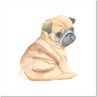 Pug puppy Posters and Art